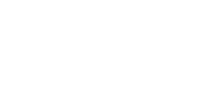 TopPhone